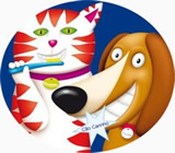 Banho e Tosa de Animais em Nossa Senhora do Socorro