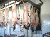 Frigoríficos em Nossa Senhora do Socorro