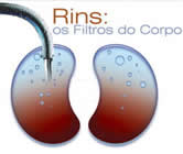 Nefrologia e Nefrologista em Nossa Senhora do Socorro