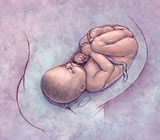 Obstetra e Obstetricia em Nossa Senhora do Socorro